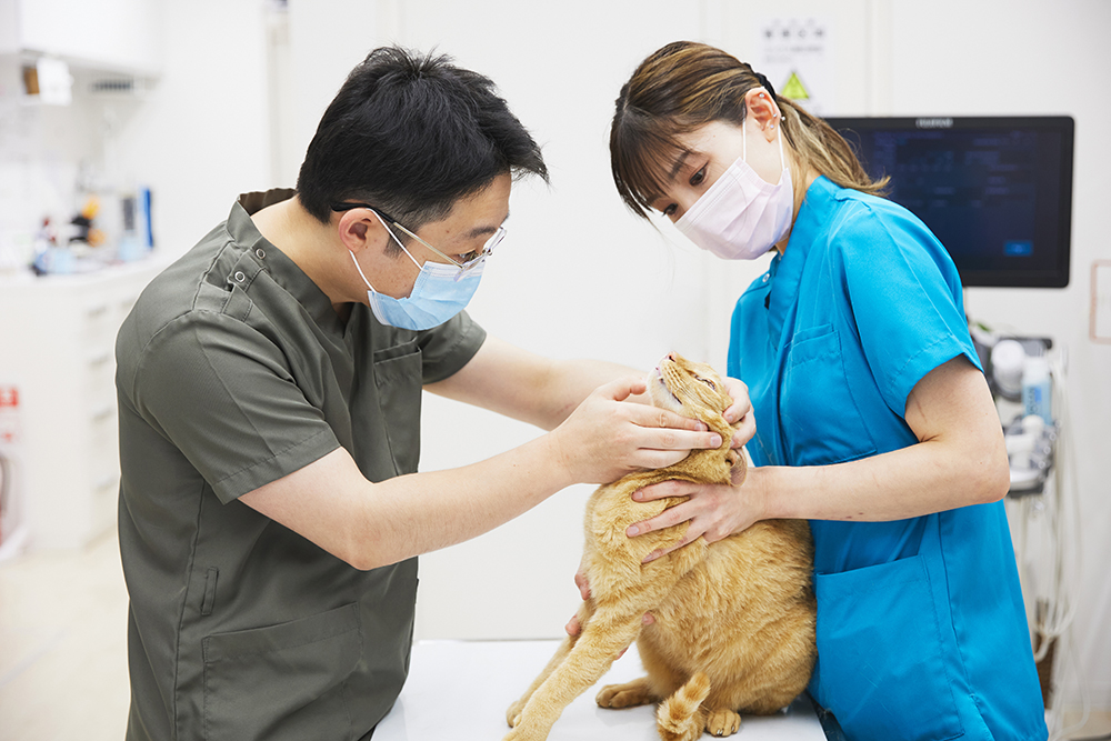 診察